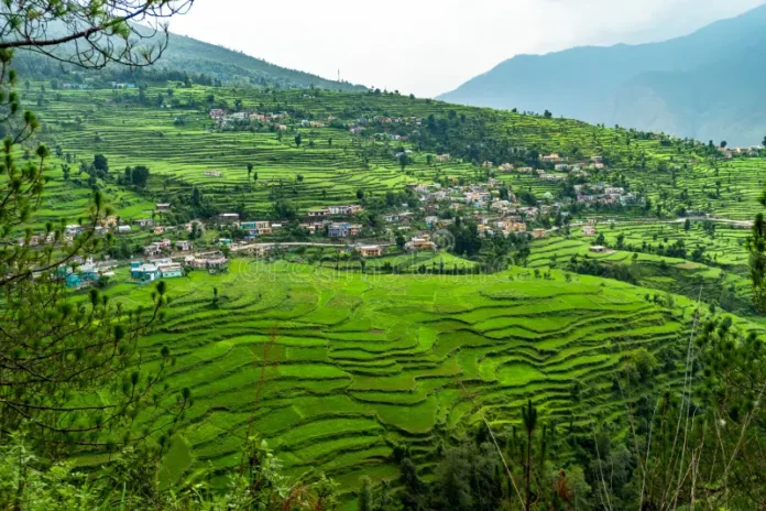 Chamoli