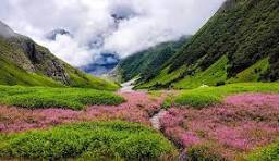Valley of Flowers